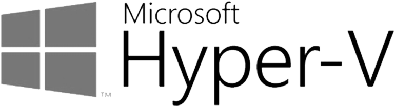 Microsoft Hyper-V-Backup